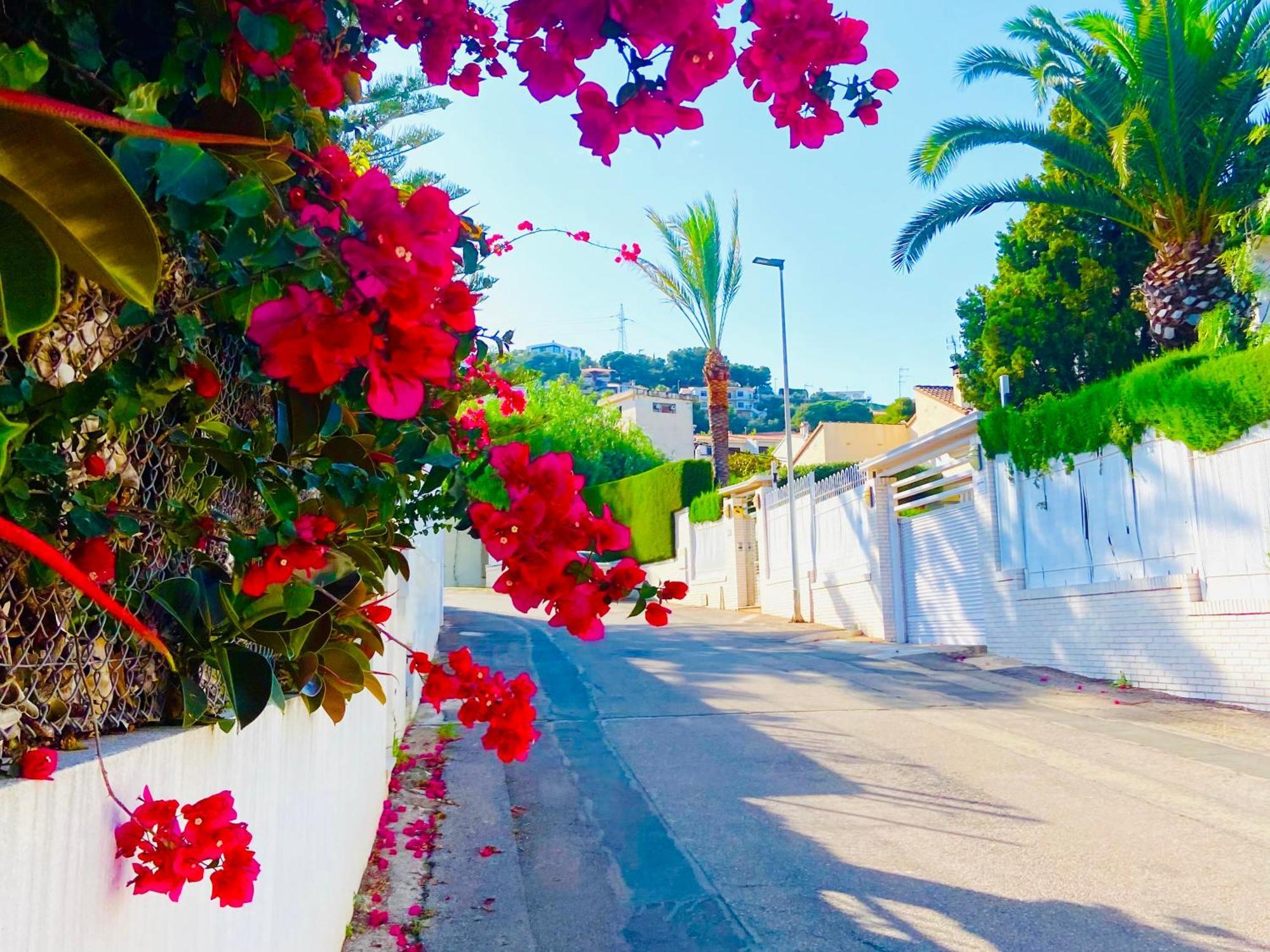 Turyva Tarongers 2 - Relaxing 2 Bedroom Holiday Apartment For Families & Couples Peñíscola Exterior foto